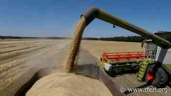 Could The War In Ukraine Trigger A Global Food Crisis? - Radio Free Europe / Radio Liberty