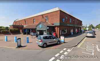 New Forest woman who stole milkshake, dog food and alcohol - Southern Daily Echo