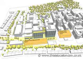 New Whipps Cross plans 'grossly underestimate future demand'