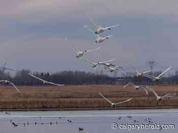 On the Road: Gone - Calgary Herald