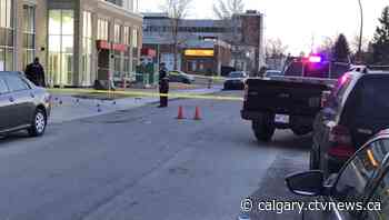 Calgary police search for suspect in hit-and-run crash | CTV News - CTV News Calgary