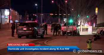 Calgary homicide unit investigates after body found in truck along 16 Ave NW - Global News