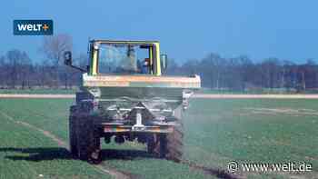 Mehr als Mangel an Senf und Speiseöl – die fatale Kettenreaktion der Lieferengpässe