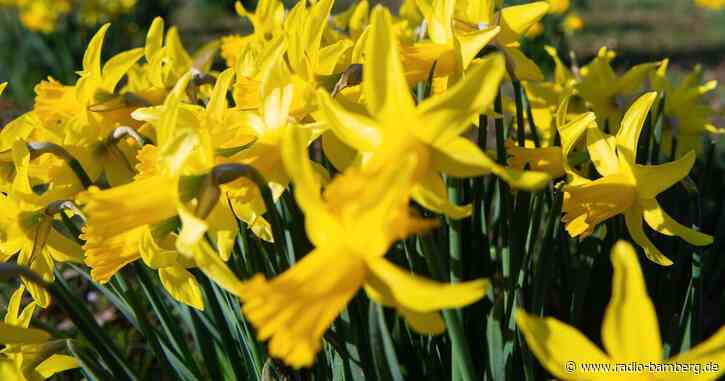 Sonnenreichster März seit Jahrzehnten – Wetterwechsel