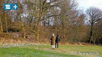 Herdecke: Baggerarbeiten für Waldbaden-Projekt gestoppt - WP News