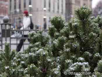 Weather: Wintry start to the week with -13 C Monday morning, high of just -8 C