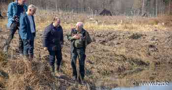 Ein Teich erwacht zum Leben | Lokale Nachrichten aus Blomberg - Lippische Landes-Zeitung