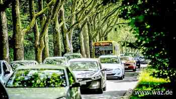 Baumpflege auf der Ruhrallee in Essen: Es drohen Staus - WAZ News