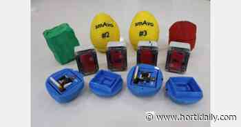 Smart avos will be a boon for fruit transport in South Africa - hortidaily.com