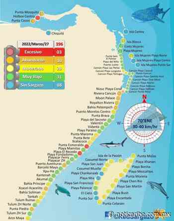 OCHENTA PUNTOS DE MONITOREO: Isla Mujeres y Cozumel con playas libres de sargazo; Holbox, Punta Esmeralda y Playa del Recodo, con recale masivo - Noticaribe