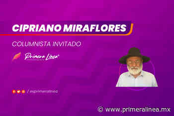 Solo queremos ser libres – Primera Línea - Primera Línea