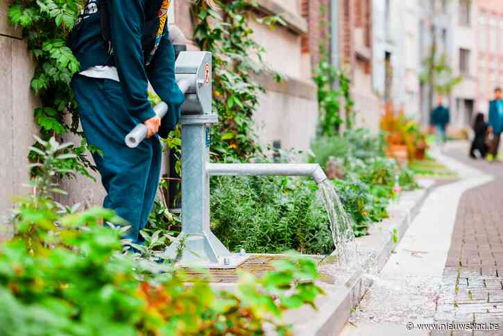 Stem Antwerpse tuinstraten naar de overwinning Prijs Publieke Ruimte