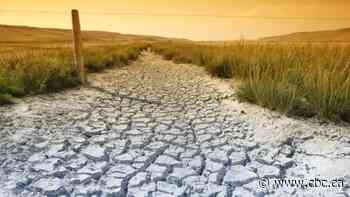 Severity and sweep of Prairie droughts could spiral as climate changes