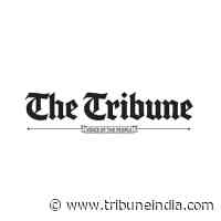 Patiala: Assn seeks high-level probe into construction at GMC - The Tribune India