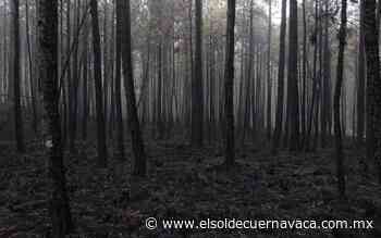 Combaten incendios en el país con recursos mínimos - El Sol de Cuernavaca