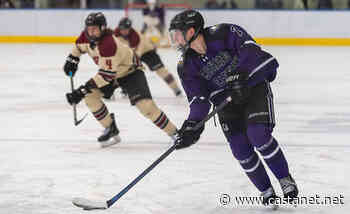 Vees sign new talent for next season - BCHL - Castanet.net