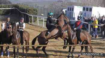 Mociano, boom di presenze per la ripartenza "Un clima di festa, Siena ne aveva bisogno" - LA NAZIONE