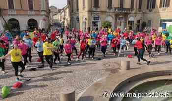 Fitness per la pace. In 250 per l'Urban Workout di Gallarate - malpensa24.it