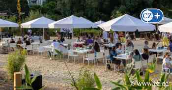 Beachclub Allerseits am Allerstrand in Celle droht das Aus - Cellesche Zeitung
