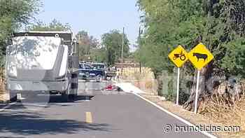 Motociclista muere tras choque con volteo en Cerritos Blancos, Pénjamo - Brunoticias