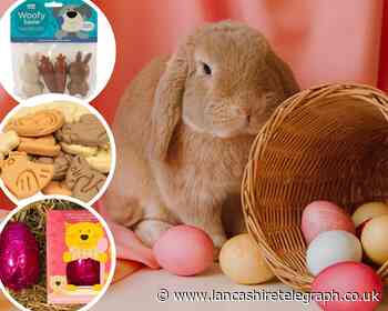 Pets at Home Easter eggs & treats safe for dogs, cats & small furries