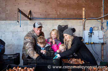 Coastal Black celebrates first annual tulip festival – Comox Valley Record - Comox Valley Record