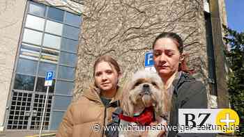Braunschweigs Stadthalle ist fast voll belegt mit Flüchtlingen