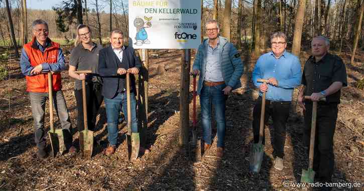 Die Stadtwerke Forchheim sorgen für sattes Grün