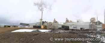 Meurtre à Lac-Mégantic: la SQ aurait-elle pu prévenir le crime?