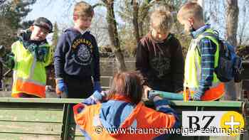 3000 Peiner sammeln in 141 Gruppen Müll