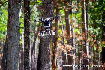 Treeswift raises $4.8M to build next generation of forest monitoring system - Wood Business - Canadian Forest Industries