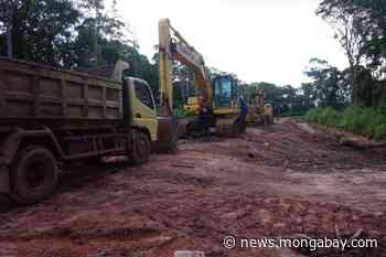 FSC-certified Moorim Paper linked to massive forest clearing in Indonesia's Papua - Mongabay.com