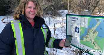 The Talking Forest: Hear stories from the trees in Lindsay, Ont. - Global News