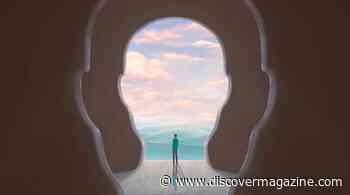 Why Our Brains Merge the Past