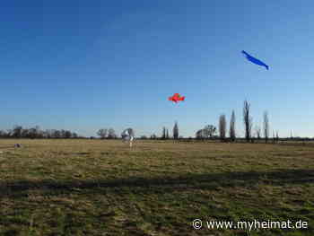 Ein schönes Wochenende 12 / 13. März 2022 2. Teil - Lutherstadt Wittenberg - myheimat.de - myheimat.de