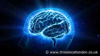 Why everything you experience is a lie