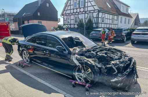 Brennendes Hybridauto in Leonberg - Fahrzeugbatterie war nicht betroffen - Leonberger Kreiszeitung