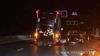 Zwei Kälber springen aus Transporter und sorgen für Chaos auf der A94
