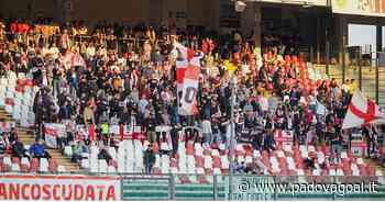 Live 24! Pro Vercelli-Padova, -5: inizia la marcia di avvicinamento alla trasferta piemontese - Padova Goal