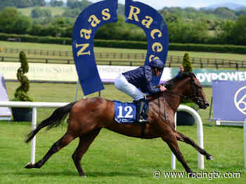 Sunday tips: Angus McNae's best bets for Limerick and Naas - Racing TV