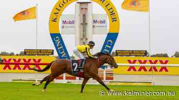 Business as usual as Fernie grabs two winners at KBRC season-opener - Kalgoorlie Miner