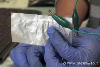 ECOGREEN, 75MILIONI DI EURO A TERMOLI PER PROGETTO CENTRO FORMAZIONE BATTERIE ELETTRICHE - Molise Web