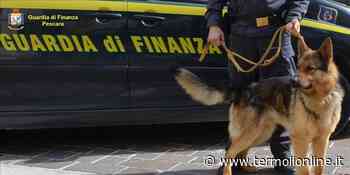 Sorpreso con la cocaina, finisce ai domiciliari - Termoli Online