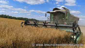 Greenpeace fordert Verbot von Biosprit