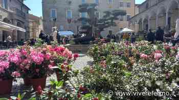 Fermo: primo weekend di primavera trascorso tra fiori, teatro e musei. - Vivere Fermo