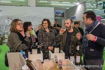 Tipicità 2022: vini autoctoni, biocreatività e lievito in fermento. Al "Fermo Forum" agricoltura, manualità e territorio - Cronache Picene