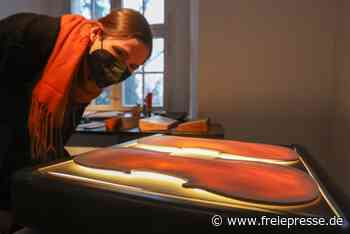 Leuchtendes im Schloss Lichtenwalde - freiepresse.de