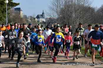 Bei schönstem Sonnenschein in den Bergwald - freiepresse.de