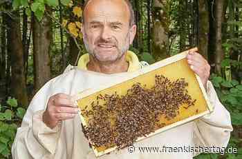 Bamberg: Imker Richard Kaiser ist seit Jahren erfolgreich in der chemiefreien Bekämpfung der Varroamilben und will nun andere Imker von seinem Konzept überzeugen - Fränkischer Tag