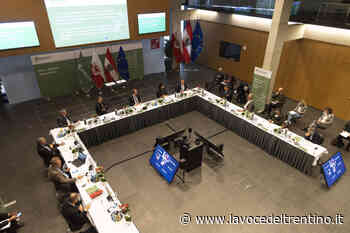 Arge Alp: sull'arco alpino presenti almeno 200 branchi di lupi - la VOCE del TRENTINO